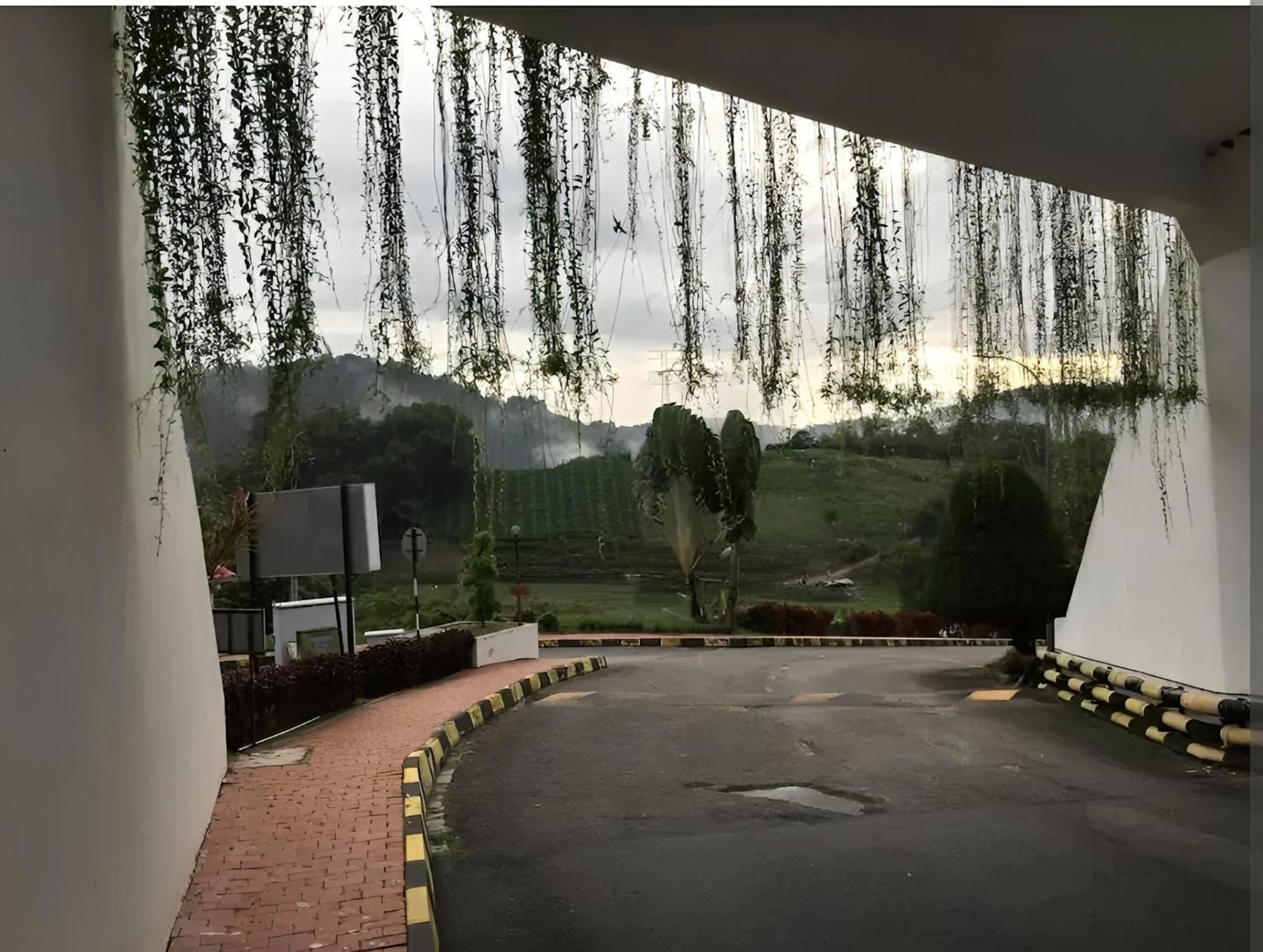 Bukit Tinggi Fuchsia Hillhomes Экстерьер фото